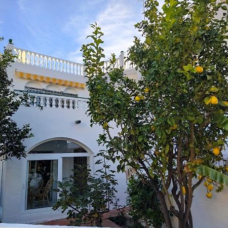 הוילה נרחה Casa Alina מראה חיצוני תמונה